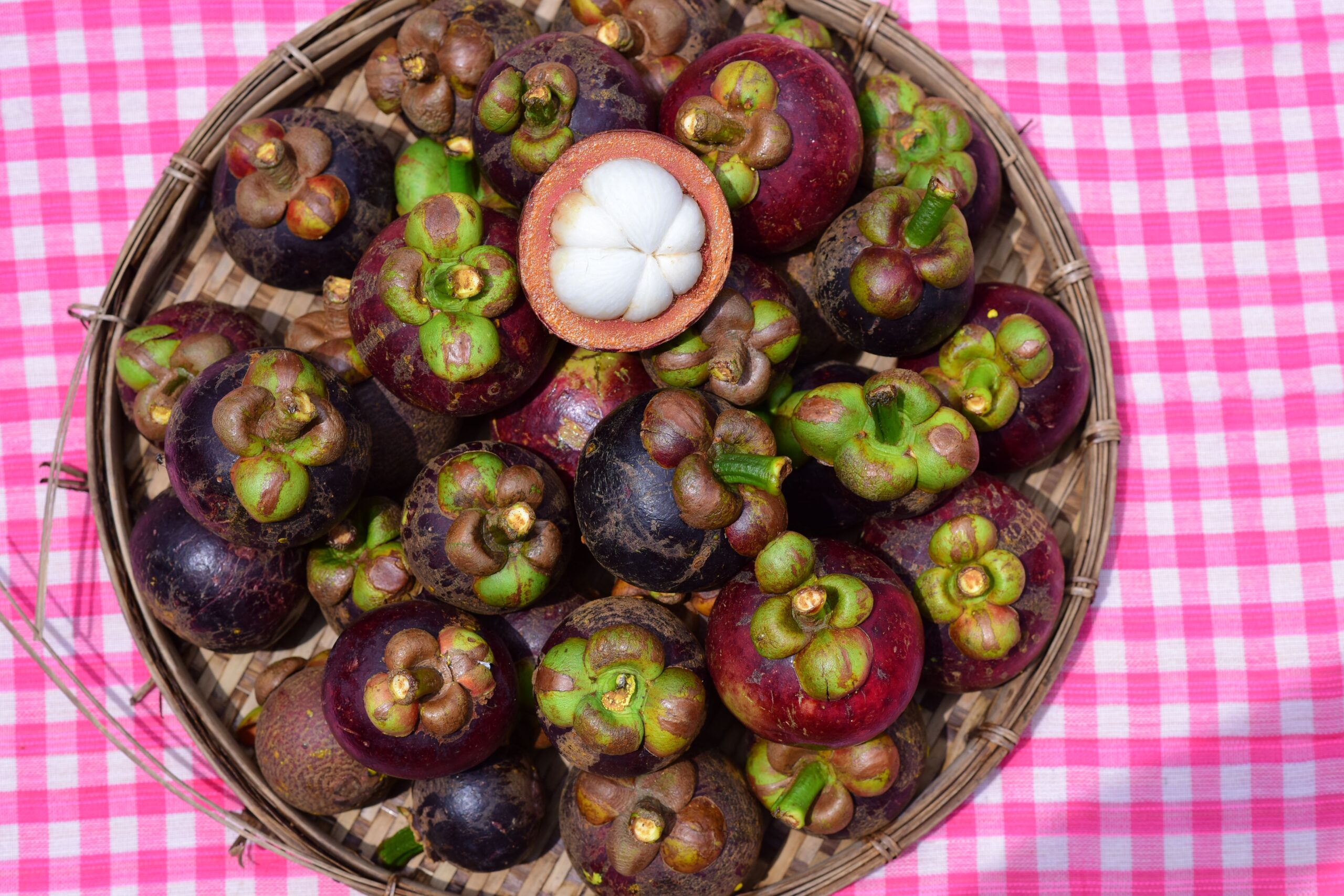 mangosteen